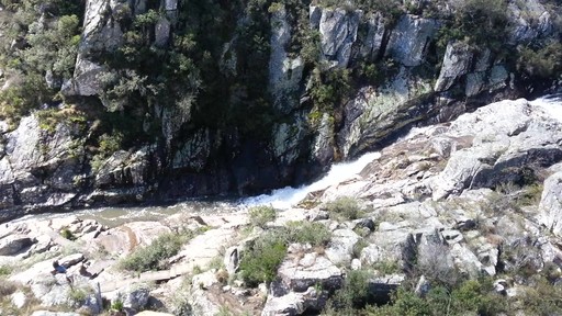 Motomaster (AT) Total Terrain A/T2 - image 4 from the video